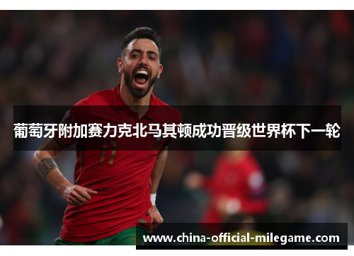 葡萄牙附加赛力克北马其顿成功晋级世界杯下一轮 葡萄牙附加赛力克北马其顿成功晋级世界杯下一轮